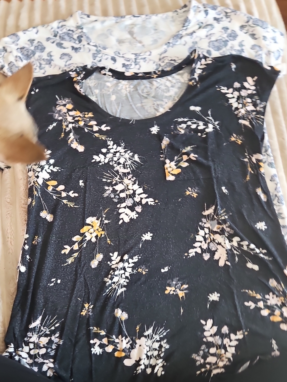 Maurices Black Floral Scoop-Neck Short Sleeve Top with White and Yellow Accents